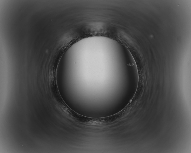 X0000085050756200703051416