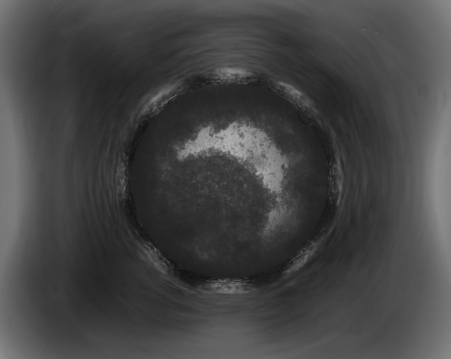 X0000085050762200703051416