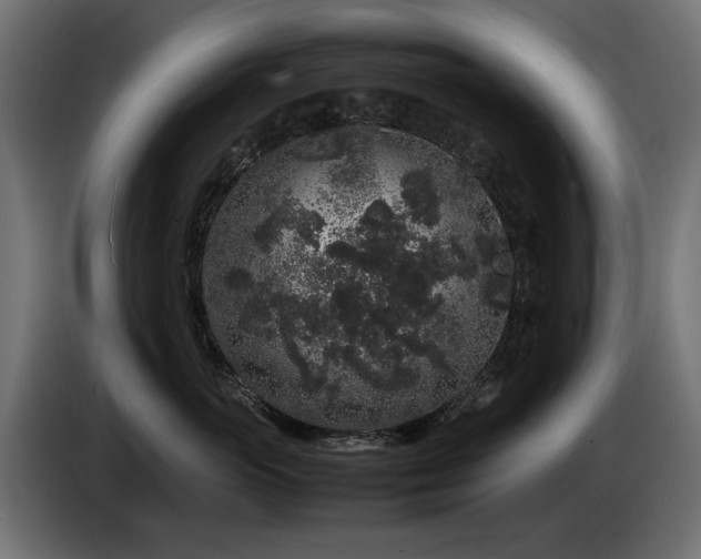 X0000085050765200703051416