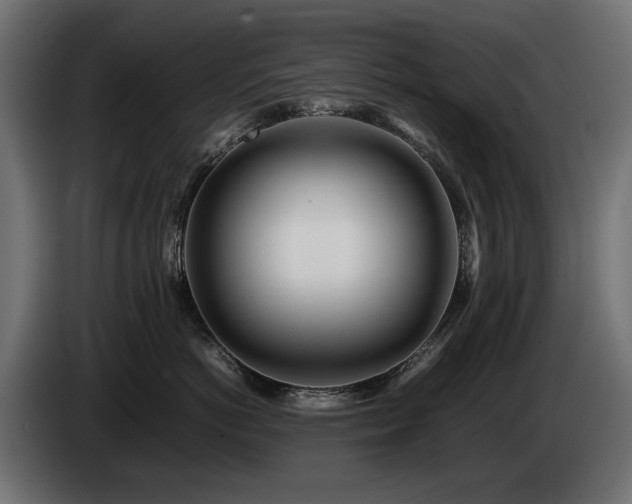 X0000085050766200703051417
