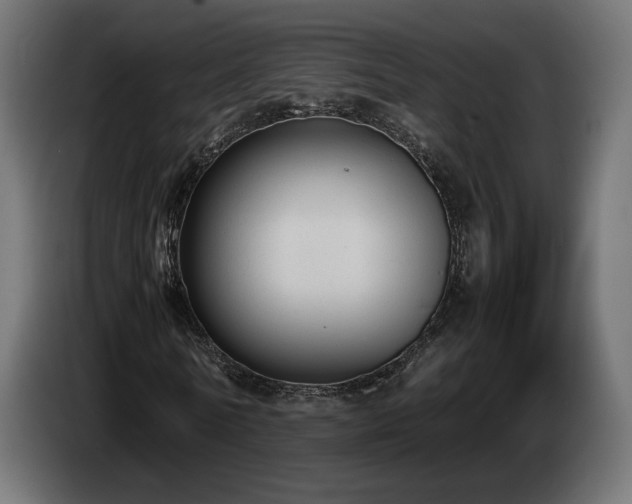 X0000085050770200703051416