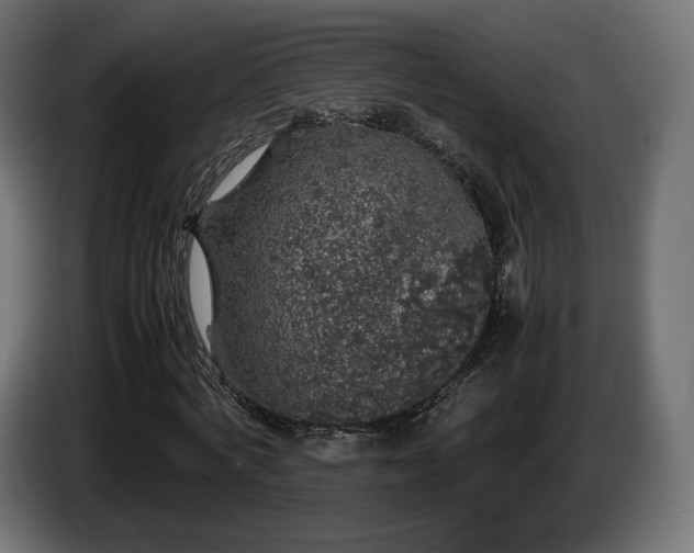 X0000085050772200703051416