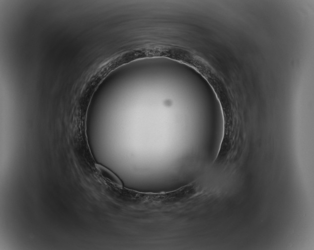 X0000085050773200703051416