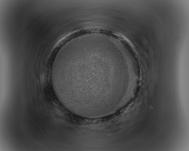 X0000085050775200703051416