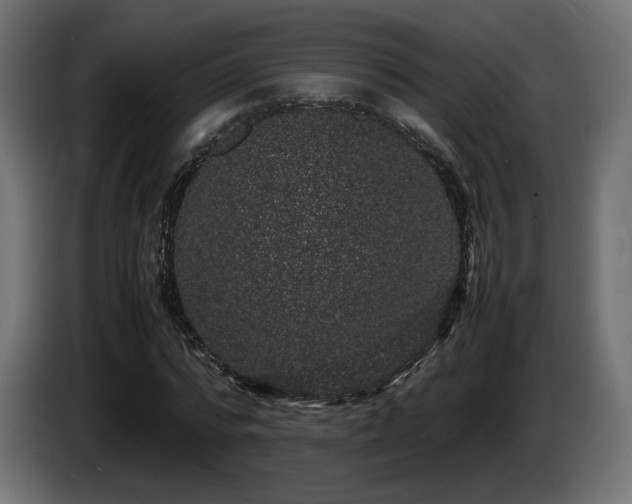 X0000085050776200703051416
