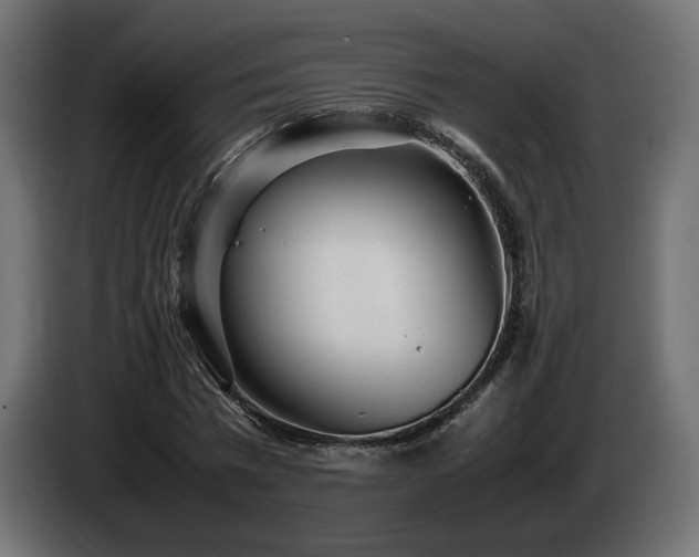 X0000085050777200703051416