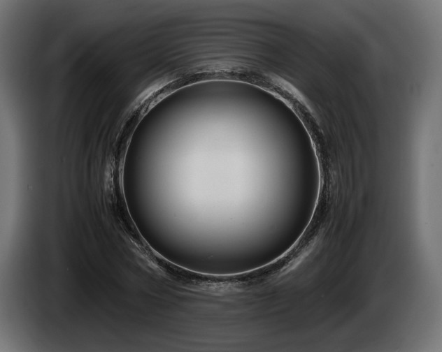 X0000085050778200703051416