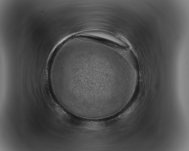 X0000085050779200703051416