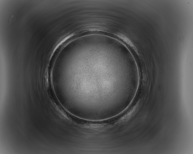 X0000085050782200703051416