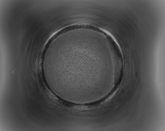 X0000085050783200703051415