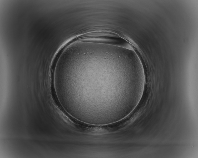X0000085050787200703051415