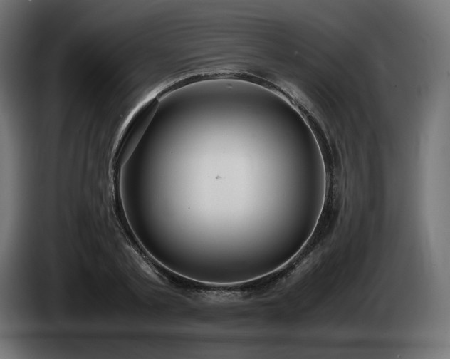 X0000085050789200703051415