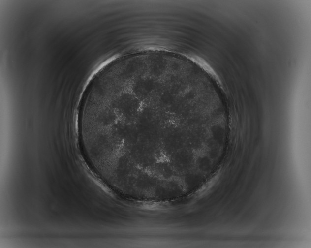 X0000085050790200703051415