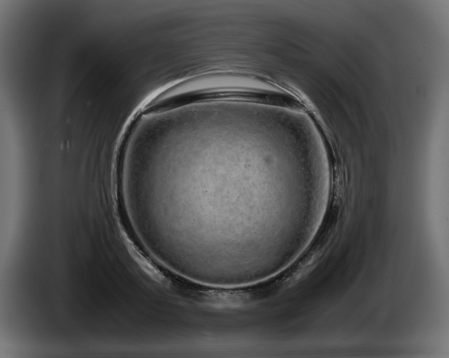 X0000085050795200703051415