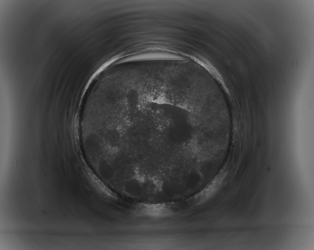 X0000085050798200703051415