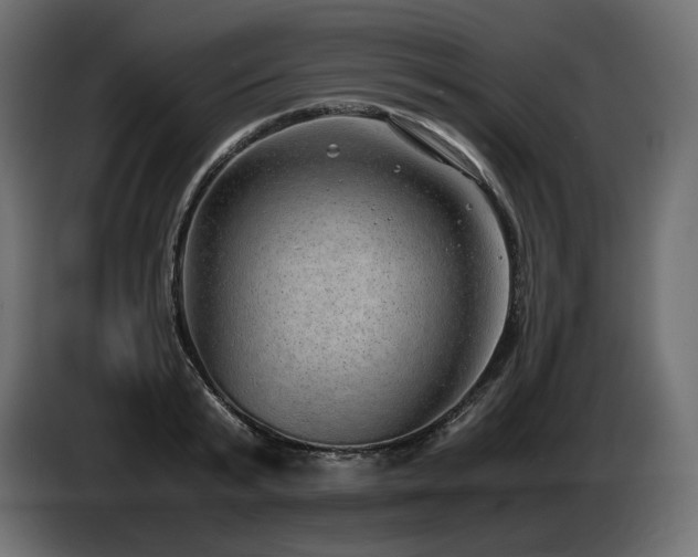X0000085050799200703051415