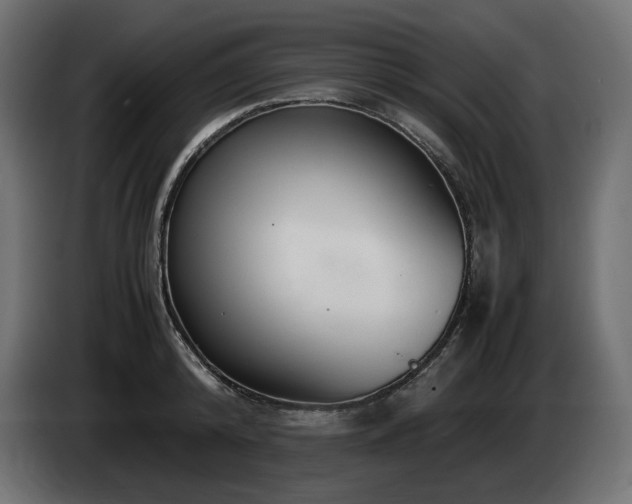 X0000085050800200703051415