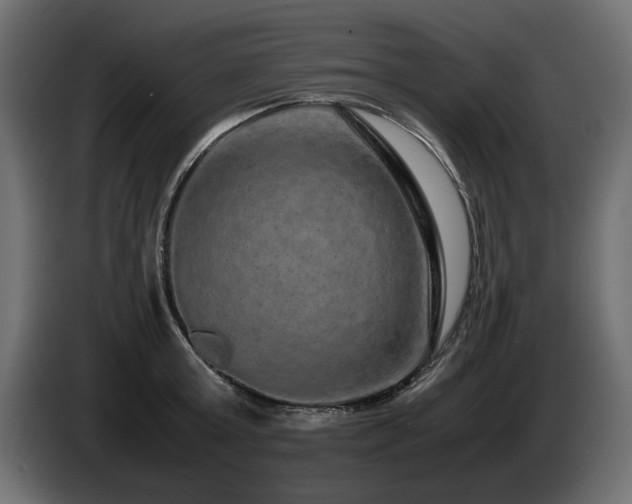 X0000085050803200703051415