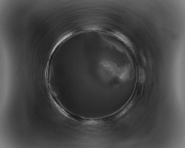 X0000085050806200703051415