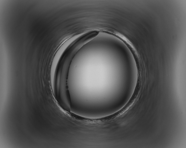 X0000085050809200703051415