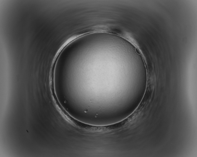 X0000085050811200703051415