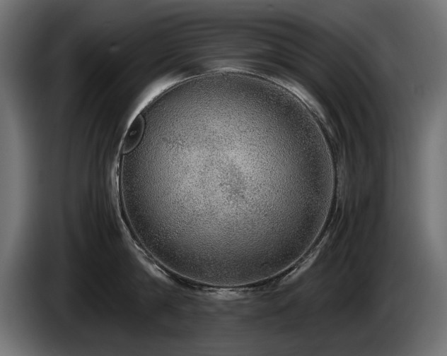 X0000085050814200703051415