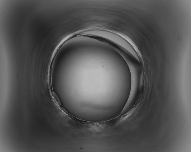 X0000085050815200703051415
