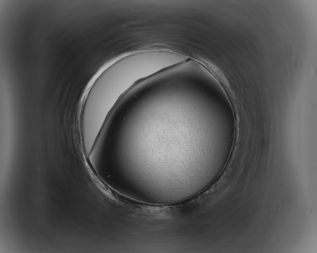 X0000085050816200703051415