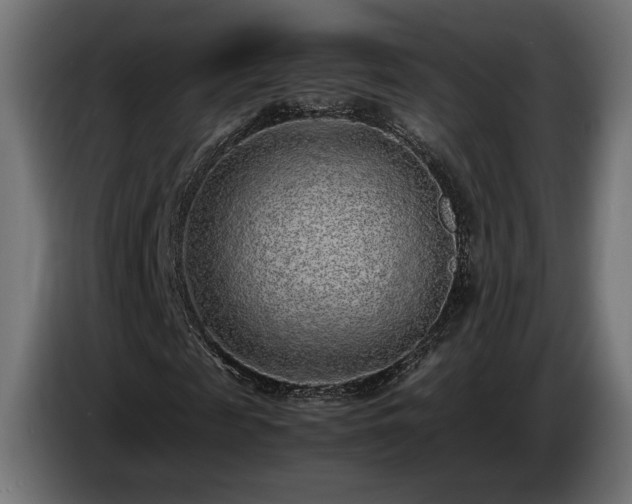X0000085050817200703051414