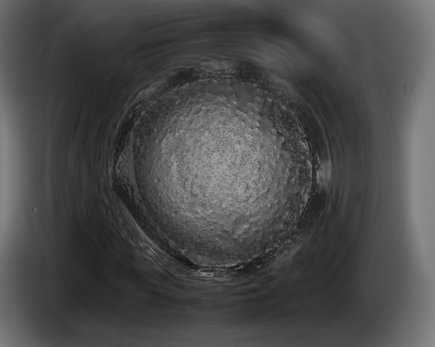 X0000085050819200703051414