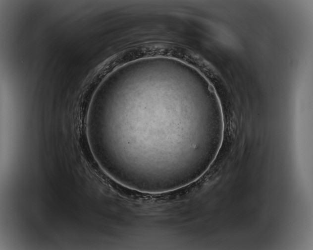 X0000085050821200703051414