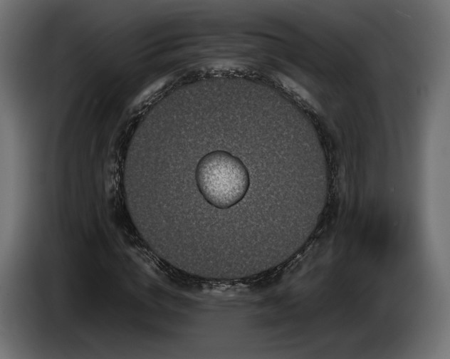 X0000085050824200703051414