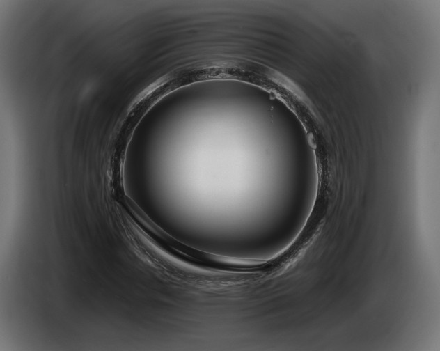 X0000085050826200703051414