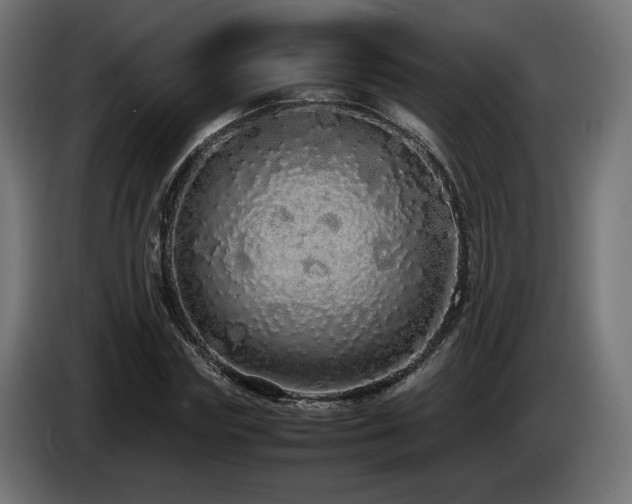 X0000085050827200703051414