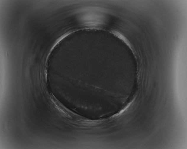 X0000085050829200703051414