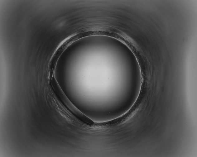 X0000085050830200703051414