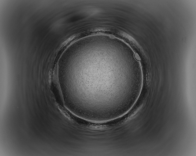 X0000085050833200703051415