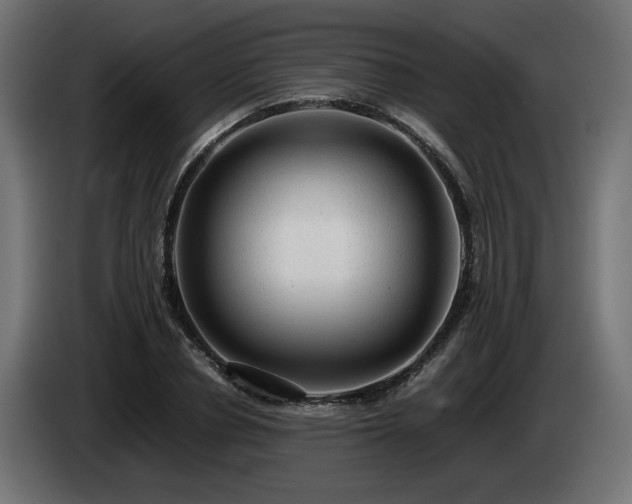 X0000085050834200703051415