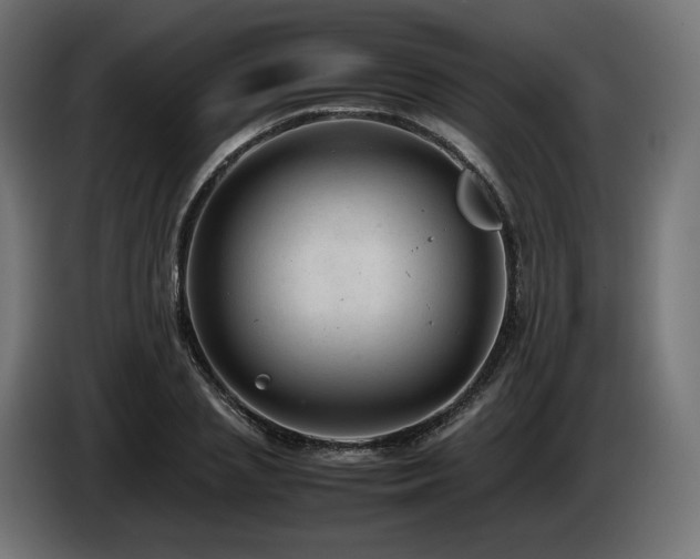 X0000085050837200703051415