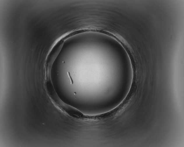 X0000085050838200703051415