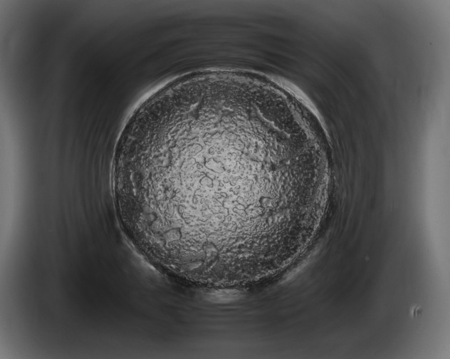 X0000085050839200703051415