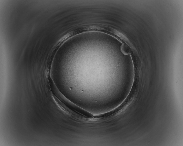 X0000085050841200703051415