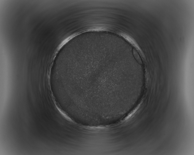 X0000085050842200703051415
