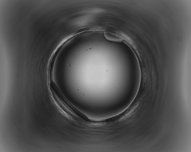 X0000085050843200703051415