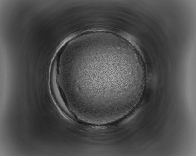 X0000085050845200703051415