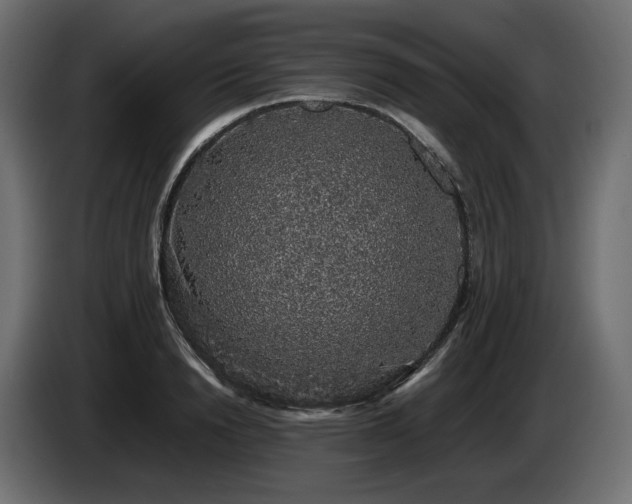 X0000085050846200703051415