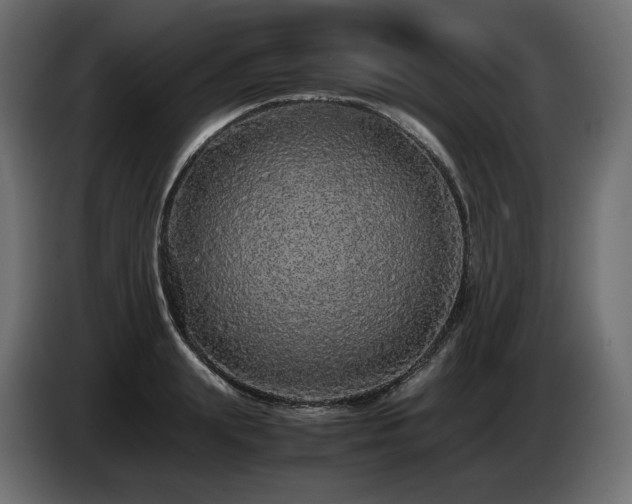 X0000085050847200703051415