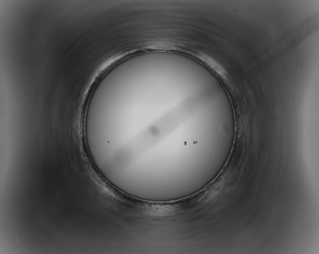 X0000085050848200703051415