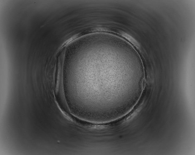 X0000085050849200703051415