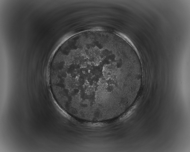 X0000085050851200703051415